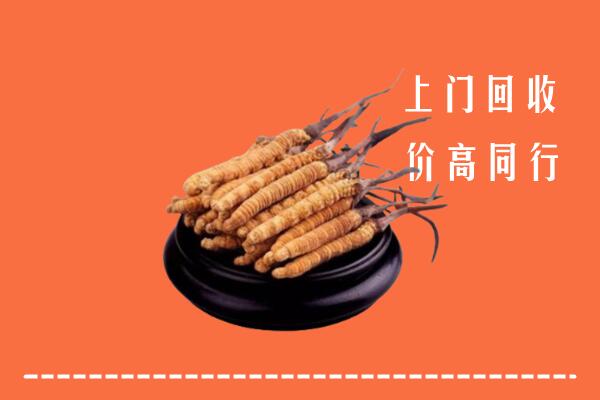 高价求购：新城回收散虫草