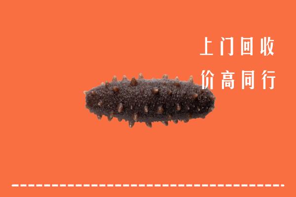 高价求购：新城回收海参