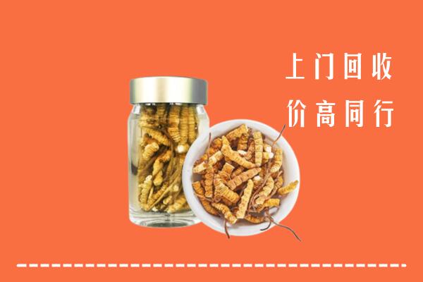 新城回收冬虫夏草