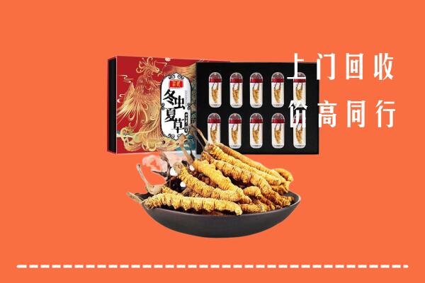 新城回收虫草